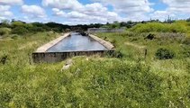 Canal do Sertão leva água para regiões que sofrem com a seca em AL