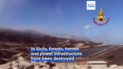 Greek wildfires reach outskirts of Athens as EU agency records huge spike in carbon emissions