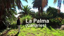Espagne : La Palma (Canaries)