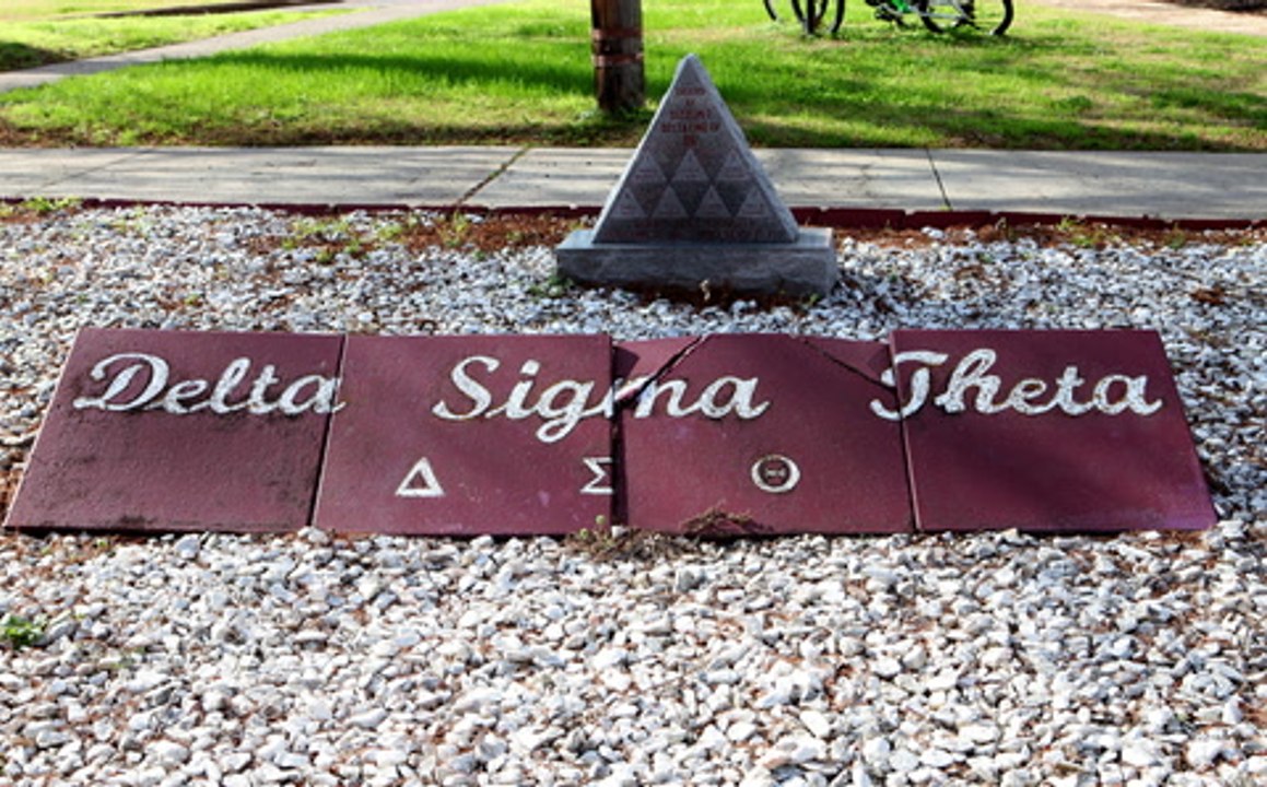 WATCH: In My Feed - The New Honorary Members Of Delta Sigma Theta Sorority, Inc.