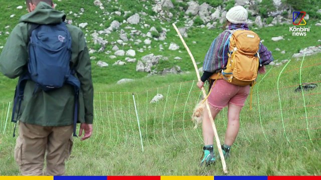 École de berger : Comment les élèves sont formés au plus vieux métier de l’histoire de l’humanité ?