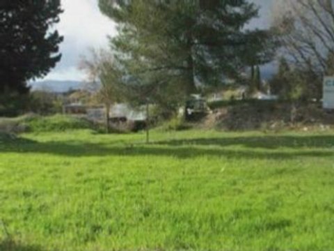 1ers Vols Trex 450 SE par Riva8406