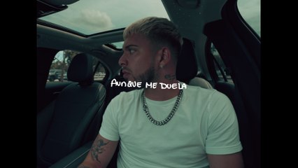 Gonzy - AUNQUE ME DUELA (Visualizer)