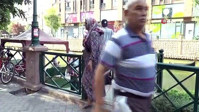 Eskişehir'de ağaç devrildi: 3'ü çocuk 11 kişi ağacın altında kaldı