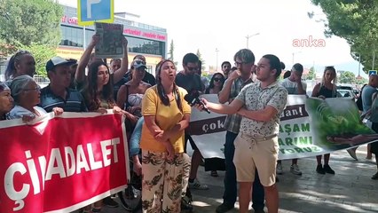 İkizköy Çevre Komitesi ve Bölge Halkı, Ağaç Kesimine Karşı Mücadele Ediyor