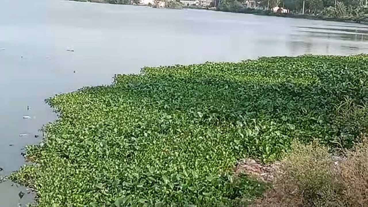 बिडचली तालाब में दस साल बाद फिर चलेगी नाव, शहरवासी उठा सकेंगे लुत्फ