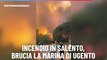 Incendio in Salento, brucia la marina di Ugento