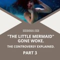 | IKENNA IKE | “THE LITTLE MERMAID”: GO WOKE, GO BROKE (PART 3) (@IKENNAIKE)