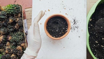 La clip dal sito dell'Avvocato Davide Cornalba Lodi Milano