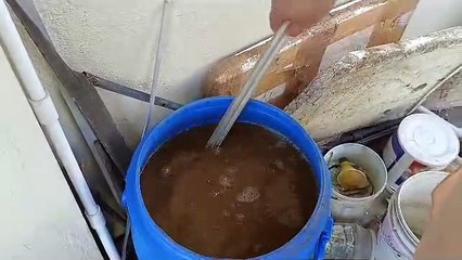 पूरी तरह से आर्गेनिक फलों का ले रहे आनंद
