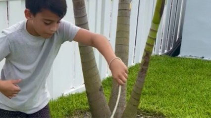 Fearless 9 y/o Snake Charmer catches an anxious black racer in a gentle manner