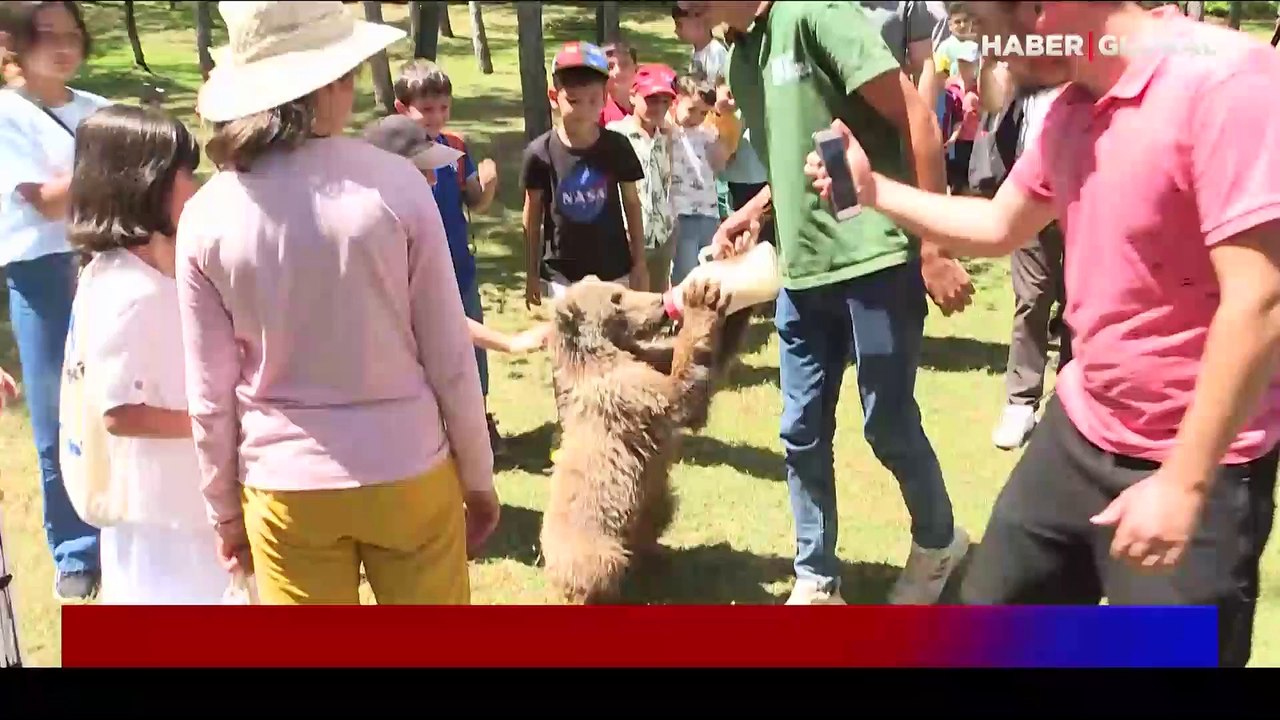 Hayvanat bahçesinde serinletme mesaisi... Maymu...