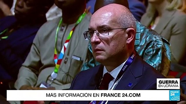 Vladimir Putin prometió la donación de granos rusos a seis países africanos