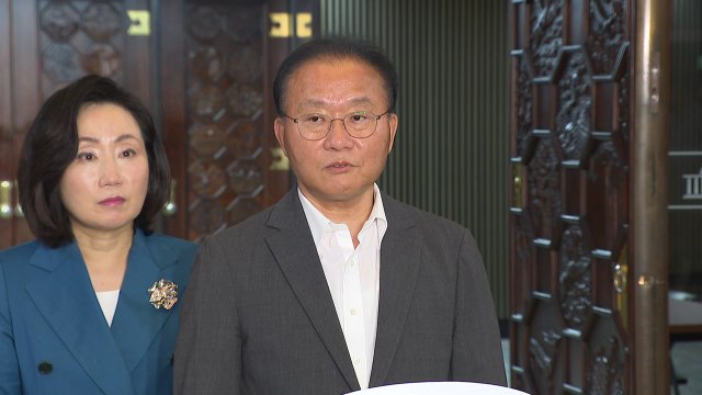 與, '북한 비핵화·도발 중단 촉구 결의안' 당론 채택 / YTN