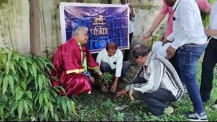 पुरातत्व संग्रहालय में रोपे गए पौधे