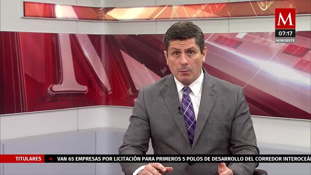 Encuentran tortugas muertas en costas de Veracruz, pescadores acusan derrame de hidrocarburo