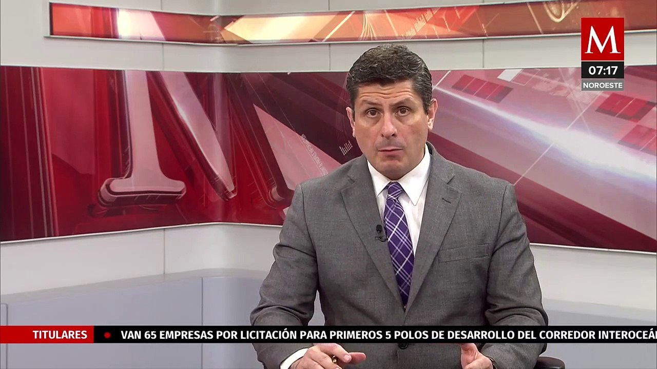 Encuentran tortugas muertas en costas de Veracruz, pescadores acusan derrame de hidrocarburo