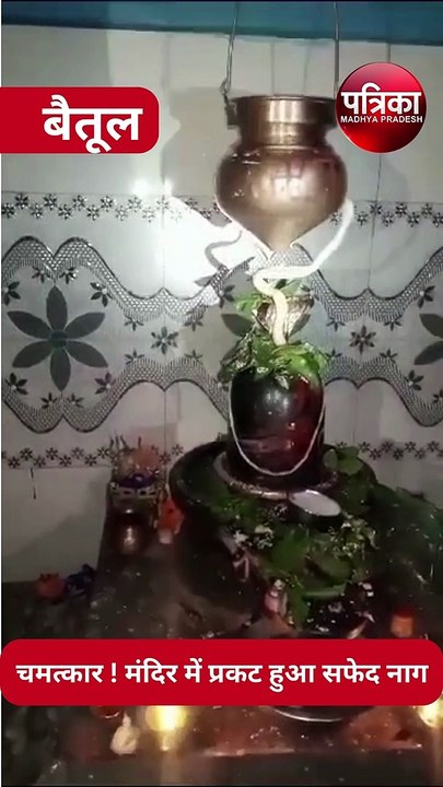 video :  सावन का महीने में शिवलिंग से आकर लिपटा सफेद नाग
