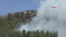 Gaziantep'te Ormanlık Alanda Çıkan Yangın Kontrol Altına Alındı