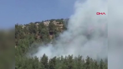 Gaziantep'te Ormanlık Alanda Çıkan Yangın Kontrol Altına Alındı