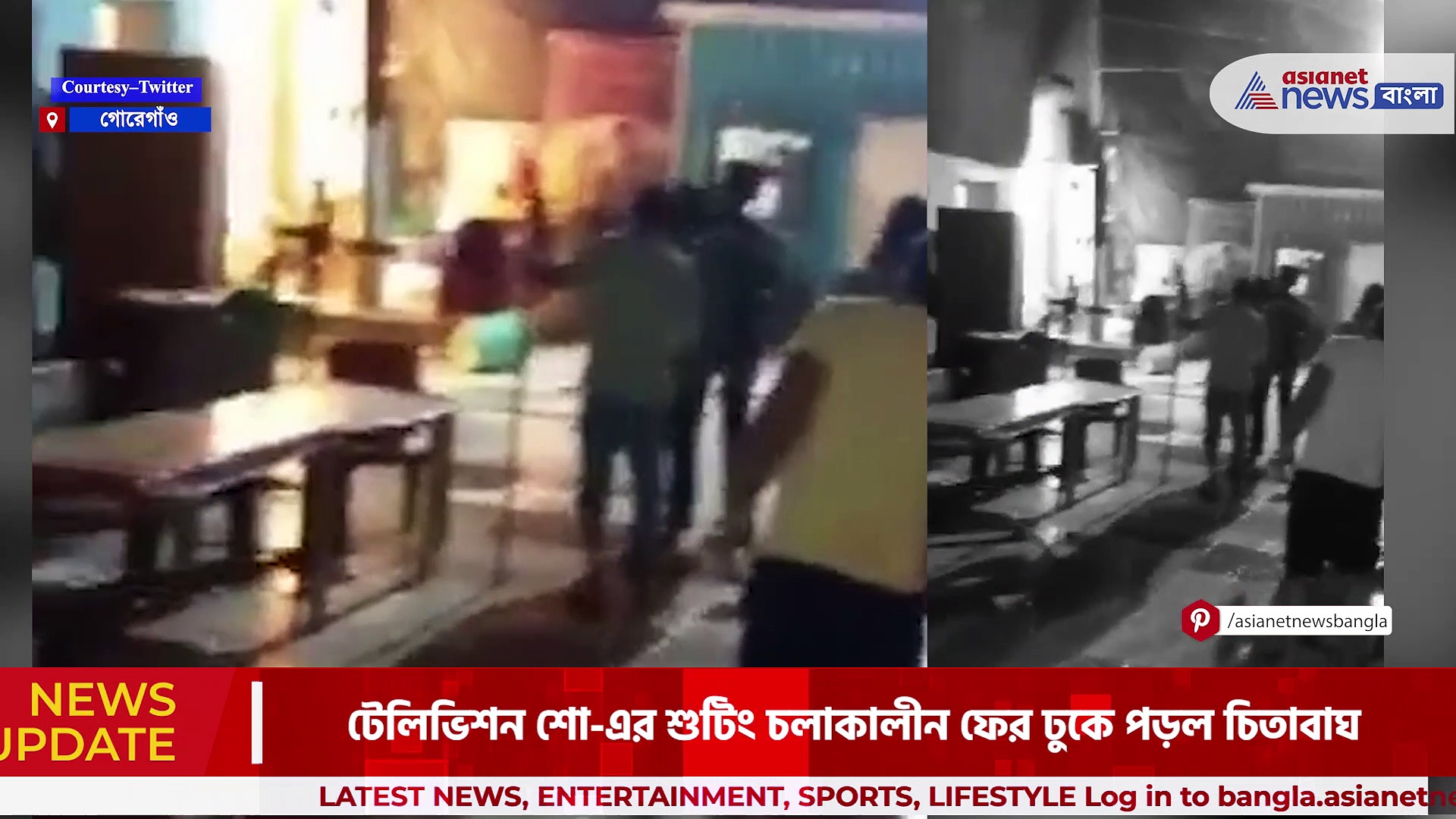 Viral Video : আবারও সিরিয়ালের সেটে চিতাবাঘের প্রবেশ,  চিতাবাঘ ধরতে তৈরি ক্যামেরা ট্র্যাপ