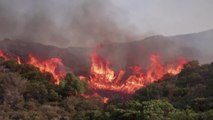 그리스·이탈리아 동시다발 '산불'...인명피해 속출 / YTN