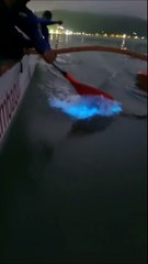 Remadores registram fenômeno de bioluminescência em Florianópolis