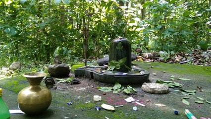 শ্রাবণ মাসে বাঁকুড়ায় লুকিয়ে থাকা শিবলিঙ্গে জল ঢালতে ভিড় ভক্তদের