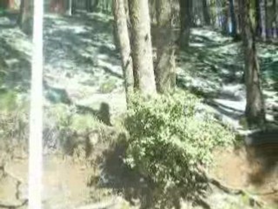 SIDAHMEDMOUISSAT