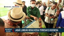 Provinsi Jawa Barat Jadi Lumbung Pangan Terbesar Kedua di Indonesia