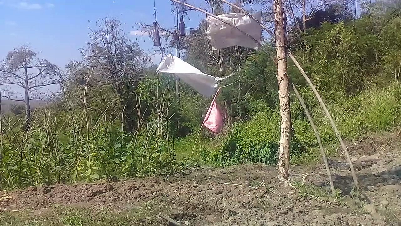 This creatif and inspiration farm