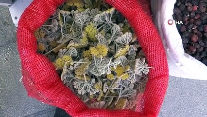 Remède à base de plantes contre la transpiration： Vape Stone