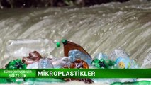 SÜRDÜRÜLEBİLİR SÖZLÜK - MİKROPLASTİKLER