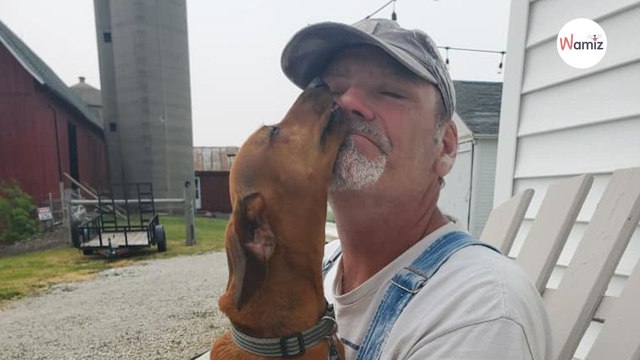 Dad receives Father's Day gift; now people stare when he walks his dog