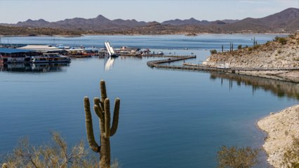 Mutter amputiert Bein ihrer Tochter versehentlich mit Schiffsschraube
