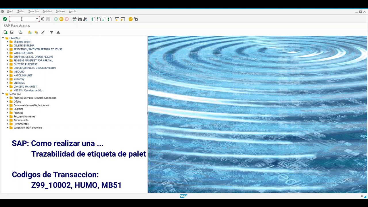 MM Trazabilidad de etiqueta de palet