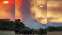 Yunanistan'da orman yangını: Mühimmat deposu patladı