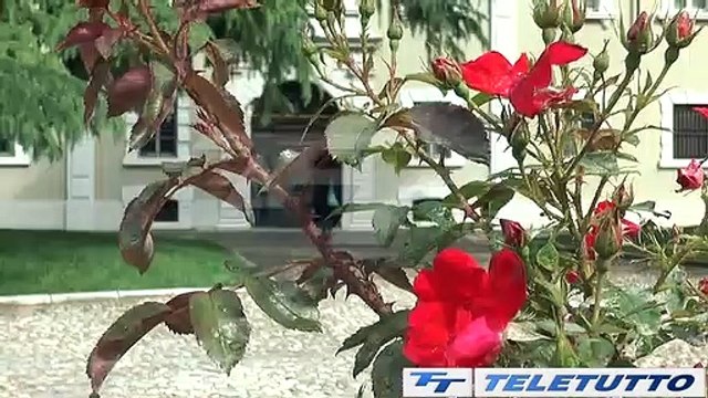 Video News - CULTURA SENZA CONFINI