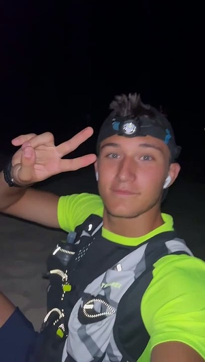 Une tortue vient pondre sur une plage hyéroise