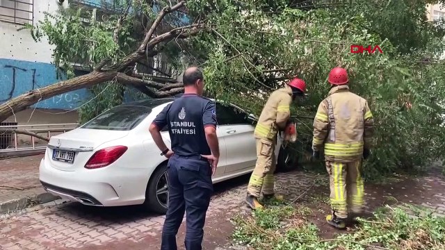Un arbre est tombé sur la voiture après de fortes pluies à Beşiktaş
