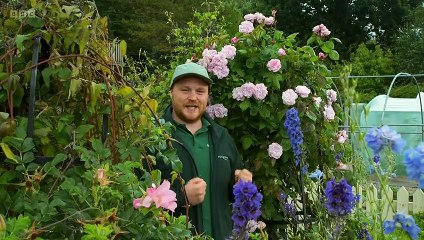 The Beechgrove Garden 2023 episode 17