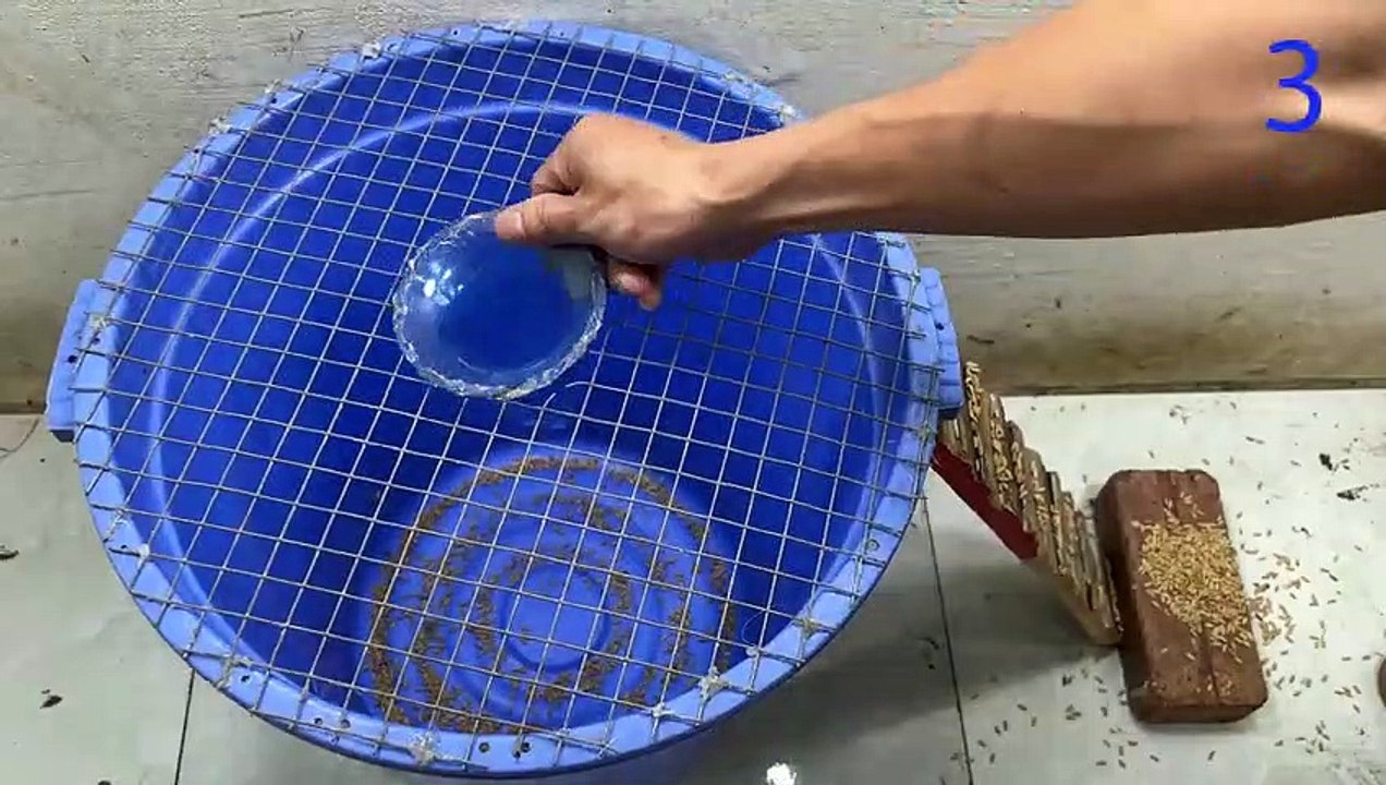 mouse trap video   electric mousetrap   water mouse trap   Make a mouse trap with a plastic box