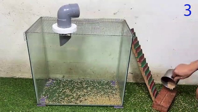 New mouse trap Falling into a trap The best homemade mousetrap in the world