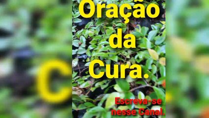 Oração da Cura. Só O Senhor Jesus Cristo Salva.