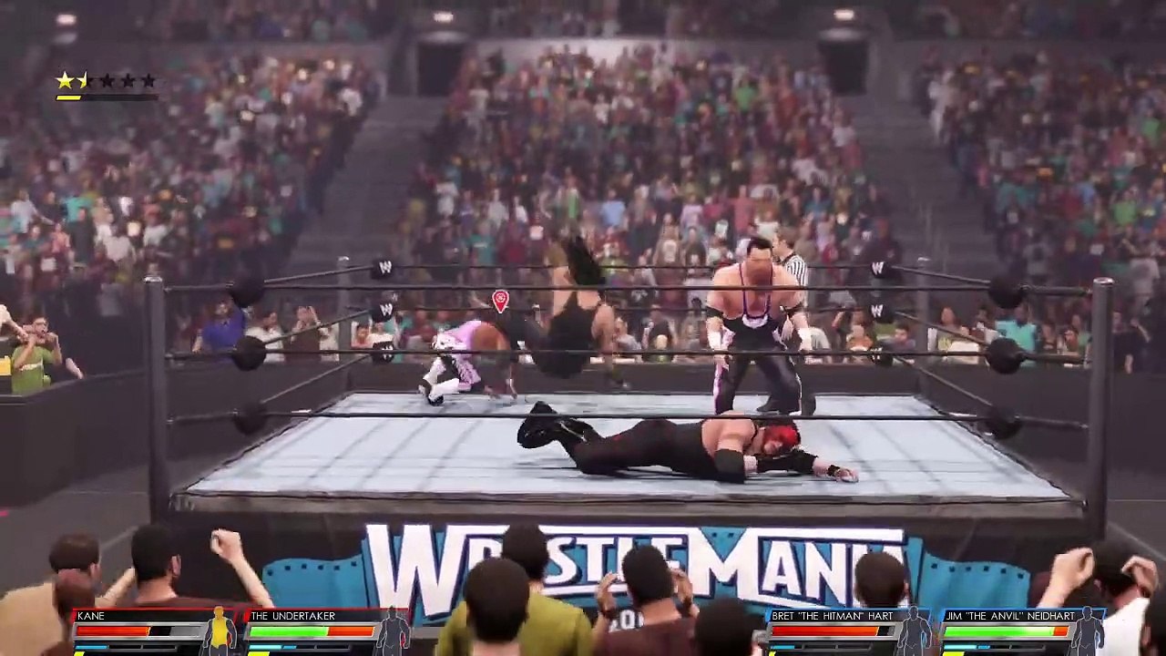 WWE The Brothers of Destruction  vs Hart Foundation