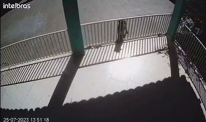 VÍDEO: "Vamos jogar um jogo", assaltantes fazem “roleta-russa” durante assalto à família