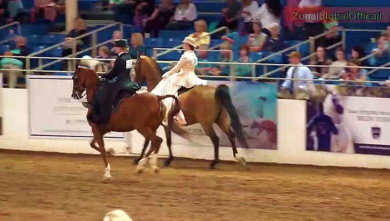 Side Saddle Championship 2023 ( video for Horse Lovers)