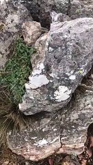 Nieve en Sierra de la Ventana