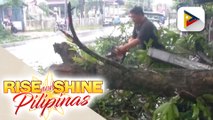 Iba't ibang ahensiya ng pamahalaan at volunteers sa Abra, nagtulong-tulong para sa agarang clearing operations