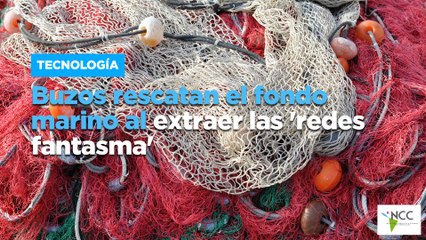 Buzos rescatan el fondo marino al extraer las 'redes fantasma'